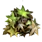 Inx Poisonwood Leaves