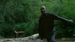 Daryl walker 2