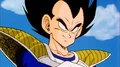 Vegetaaaa