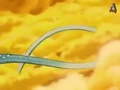 Dbz234 - (by dbzf.ten.lt) 20120322-21444791