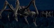 ShadowRulers