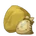 Grain of Vanilla Rice