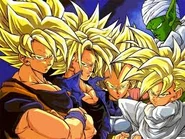 Images (22)