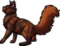 Redtail.deputy