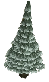 Arctic pine