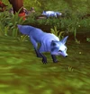 CorsacFox