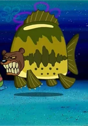 Sea bear