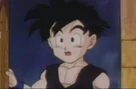 Gohan d 0