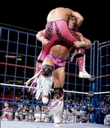 Steel Cage Images.9