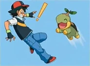 Ash and Turtwig