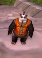 Cai.jpg