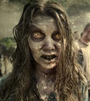 Zombie Hauptseite