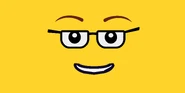 ProfBrickkeeper FACE