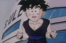 Gohan j 4f