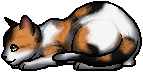 Sweetpaw.kit.png