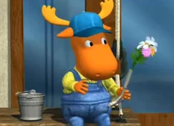 Window washer tyrone
