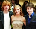 Harry-potter-actors.jpg