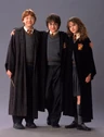 HarryPotterGoldenTrio.jpg