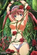 Airi Roses