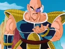 Nappa1