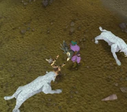 Givingtail