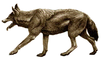 Vore