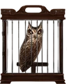 Screech-owl-lrg.png