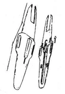 MSA-003-5