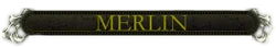 Merlin nameplate.png