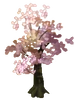 Cherry Tree