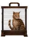 Ginger-cat-lrg.png