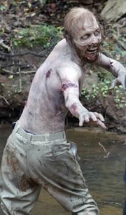 Caminante del pantano.jpg