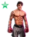 Item kickboxer emerald 01.png