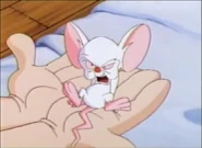 FrankenmyraBrain