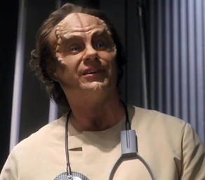 Phlox, 2151.jpg