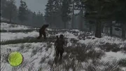 Sasquatch