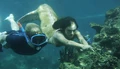 Cleo Swimming With Lewis