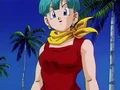 Bulma.Ep.247