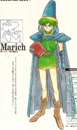 MerricComplete