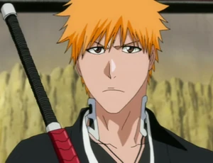 IchigoP