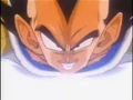 Vegeta 56453