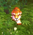 AmurTigerCub.jpg