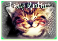 Kitty