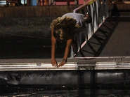 Bella Diving