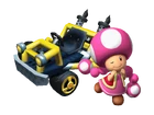 Toadette 2.0