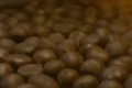 Chestnuts.jpg