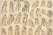 Poses aurora