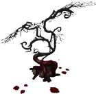 Bloodwood tree