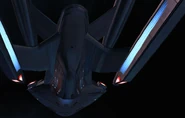 Cerberus 7