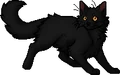 Blackclaw.apprentice.png